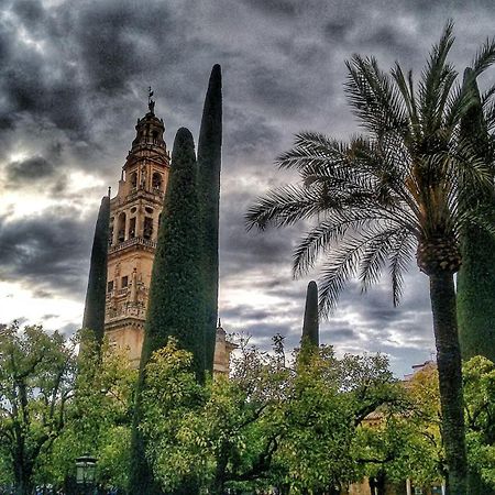 Rosmarinus Centro Apartman Córdoba Kültér fotó